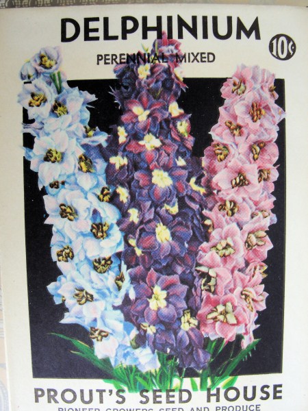 VINTAGE SEED PACKET COLORFUL FLORAL PERFECT TO FRAME