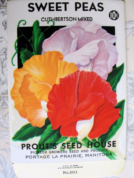 VINTAGE SEED PACKET PRETTY FLOWERS GREAT TO FRAME